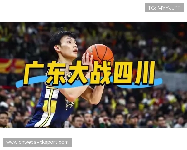 四川男篮主场意外频发：小猫闯入赛场，比赛短暂中断